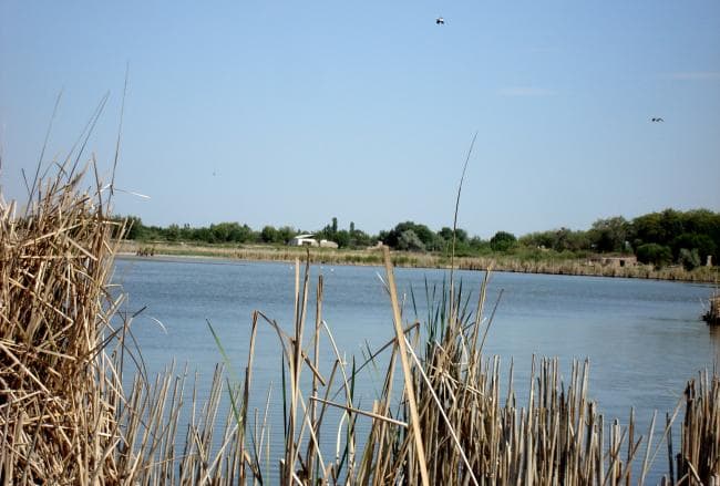 Lake Tuba east of Khodjeyli